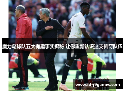 魔力鸟球队五大有趣事实揭秘 让你重新认识这支传奇队伍